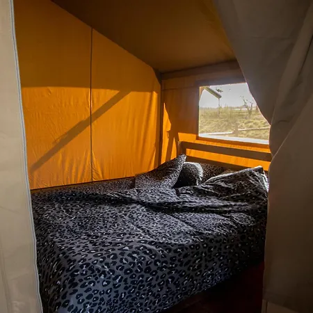 Lotje Campsite Elbingerode (Lower Saxony)